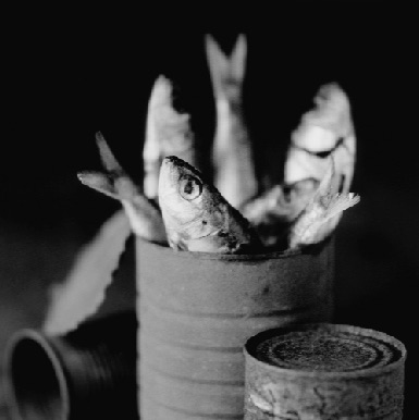 CAN OF FISH